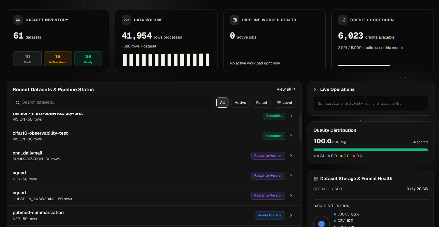 Dataset inventory, data volume, and pipeline worker health cards on the Datalier dashboard