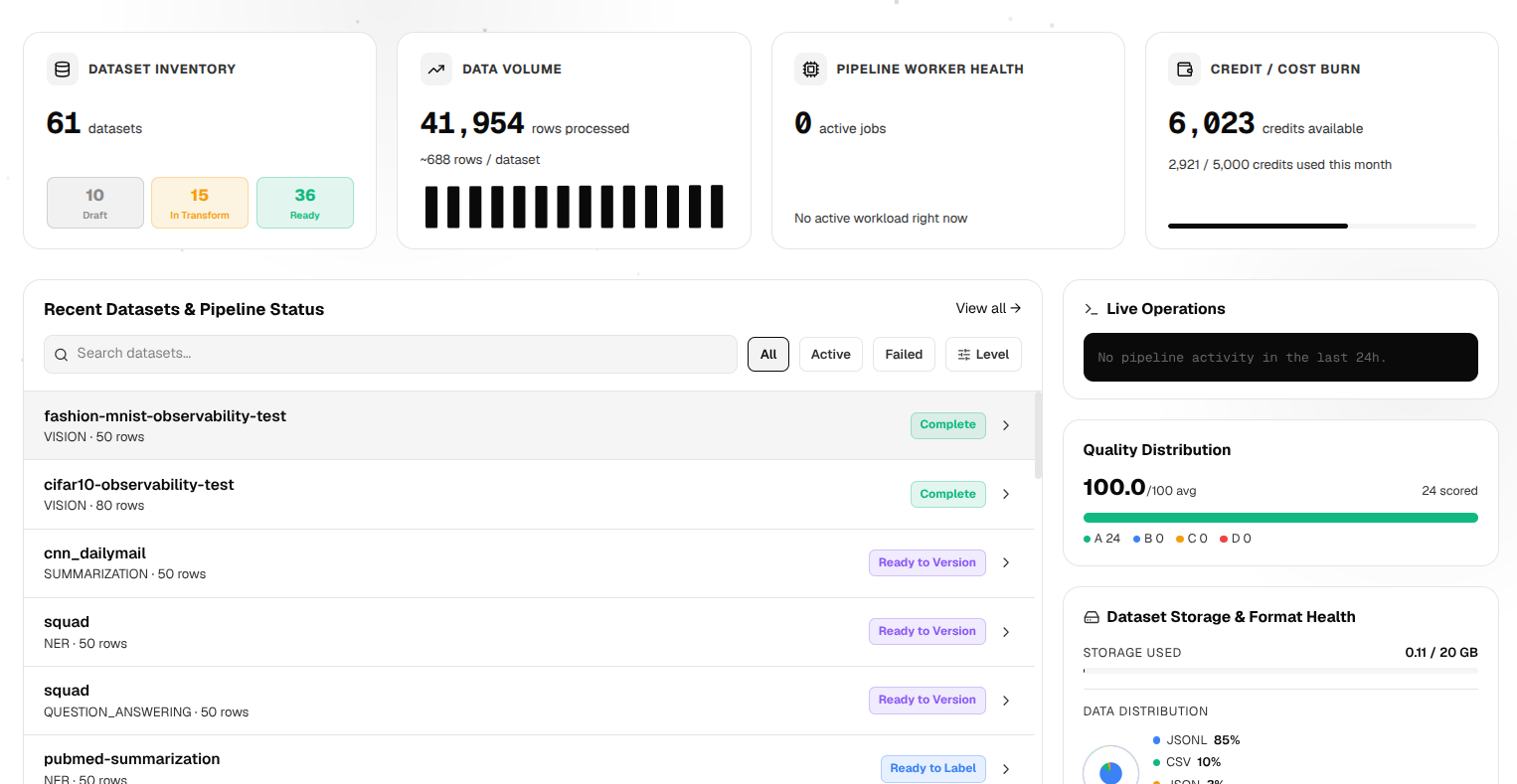 Dataset inventory, data volume, and pipeline worker health cards on the Datalier dashboard